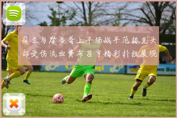 荷兰与摩洛哥上半场战平范赫克头部受伤流血费布吕亨精彩扑救展现实力